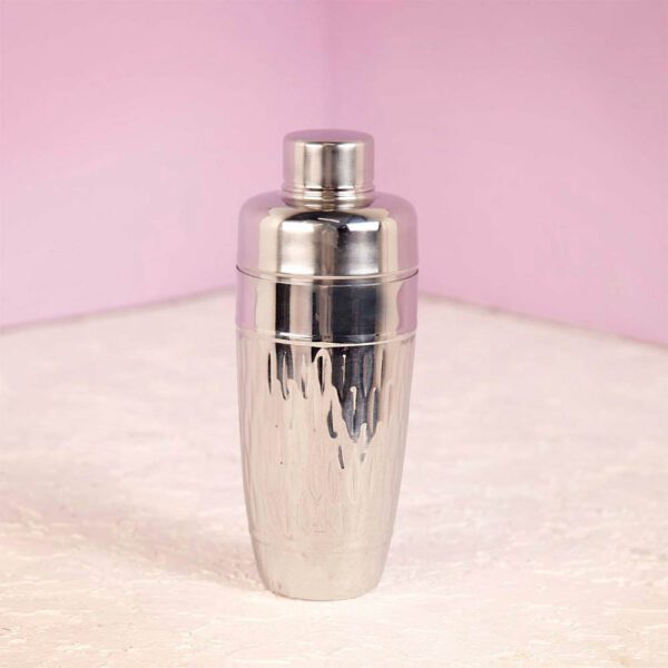 شیکر دستی استیل نقره‌ای آسا